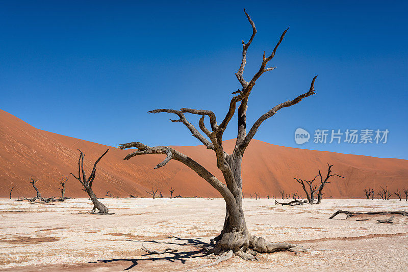 纳米比亚Sossusvlei Namib- naukluft